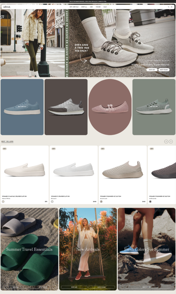 Shopify Store Design Development Premium eCommerce Website
